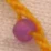 amarillo-morado