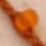 Naranja - Naranja