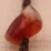 Cornalina - Marrón oscuro